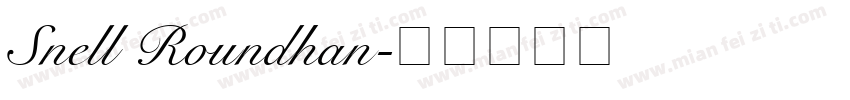 Snell Roundhan字体转换